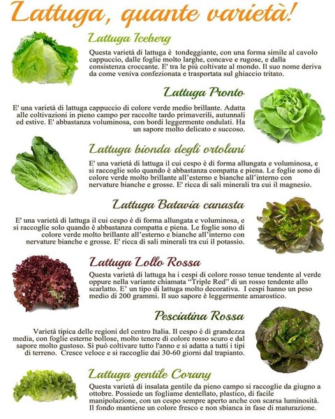 Thumbnail of b-r0j6ckxgb-54c9dd41cde04135 0