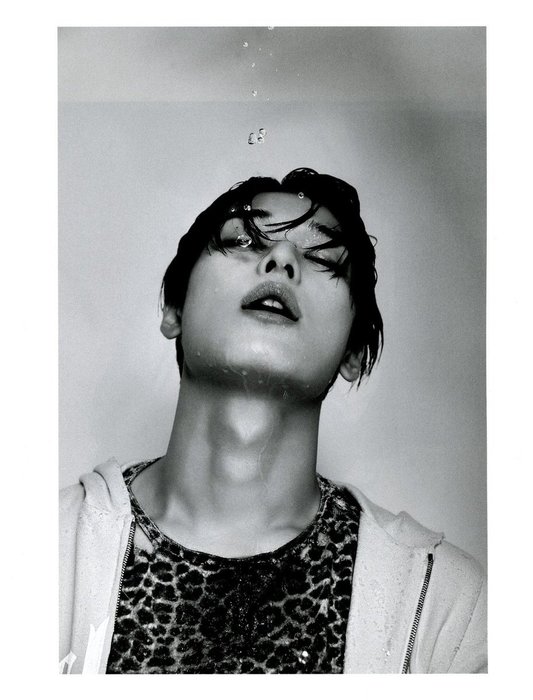 Thumbnail of www-x-com-cafewindows-status-1798036913066262981-54e3f4c8afac4873