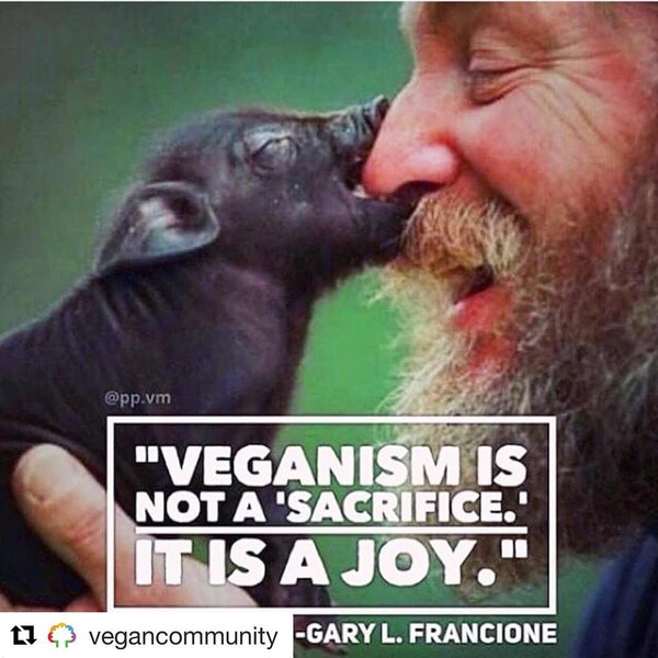 Thumbnail of p-bfrm2rldhjl-552cf34d1a5a4047 0