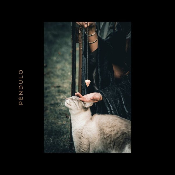 Thumbnail of p-cloyvppq4dj-554745549fb546b5 2