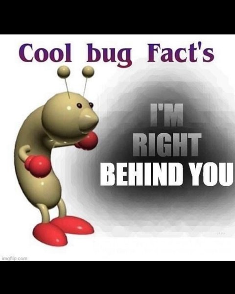 Thumbnail of p-ctz2ecry9jq-55682d56c31e460c 6