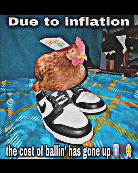 Thumbnail of p-ctz2ecry9jq-55682d56c31e460c 8