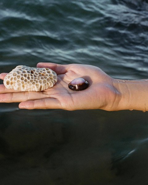 Thumbnail of p-chzcovljnzr-556e87b59c18491b 0