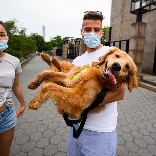 Thumbnail of p-ca09fupnwd6-55aab6b494454345 0