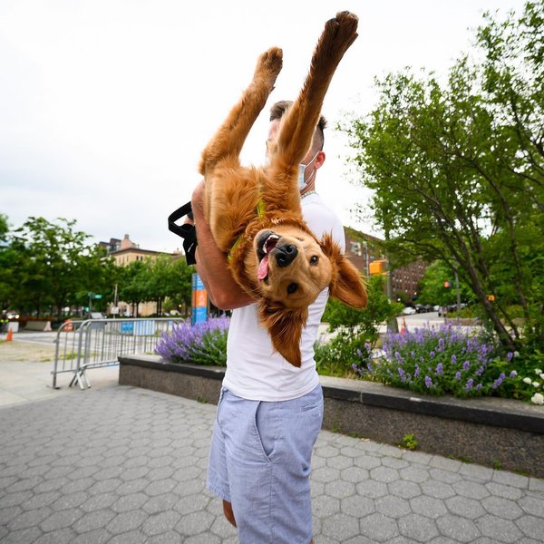 Thumbnail of p-ca09fupnwd6-55aab6b494454345 1