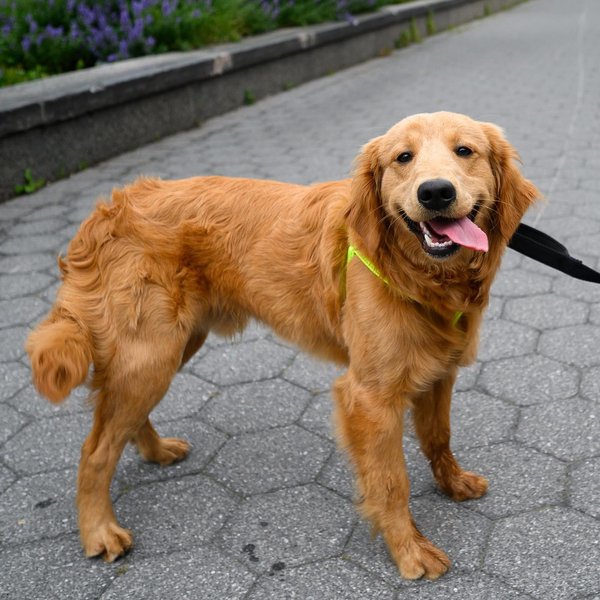 Thumbnail of p-ca09fupnwd6-55aab6b494454345 2