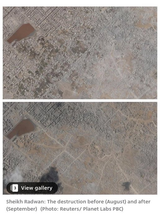 Thumbnail of www-x-com-maxblumenthal-status-1969396704232325367-55e3706da7834846