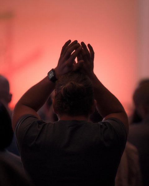 Thumbnail of p-diooriyozlu-5609efd2bf544c10 5