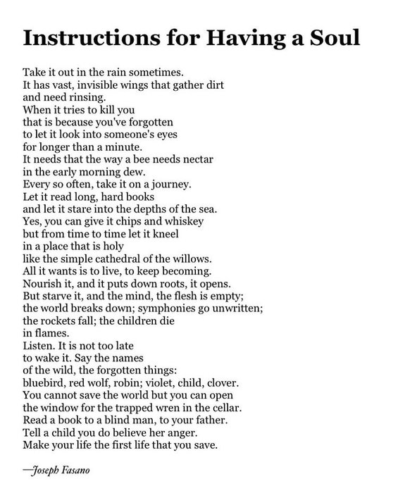 Thumbnail of www-x-com-joseph-fasano-status-1983007214496559517-56211eae469241f0