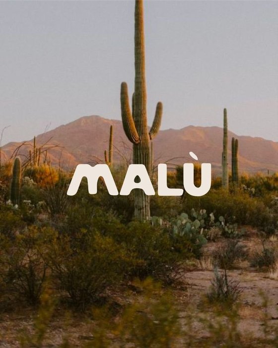 Thumbnail of www-x-com-pietrobaudin-status-1969302096848494664-567e5d9b41944284