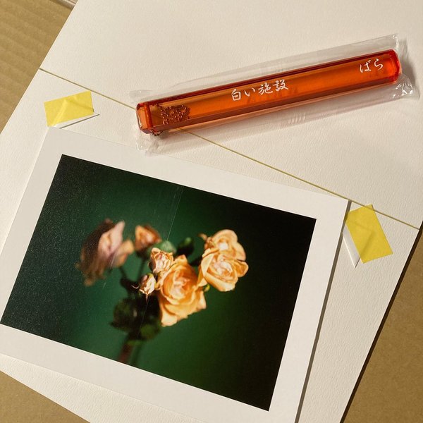 Thumbnail of p-cwdf8clvwge-568d8c584f454a87 0