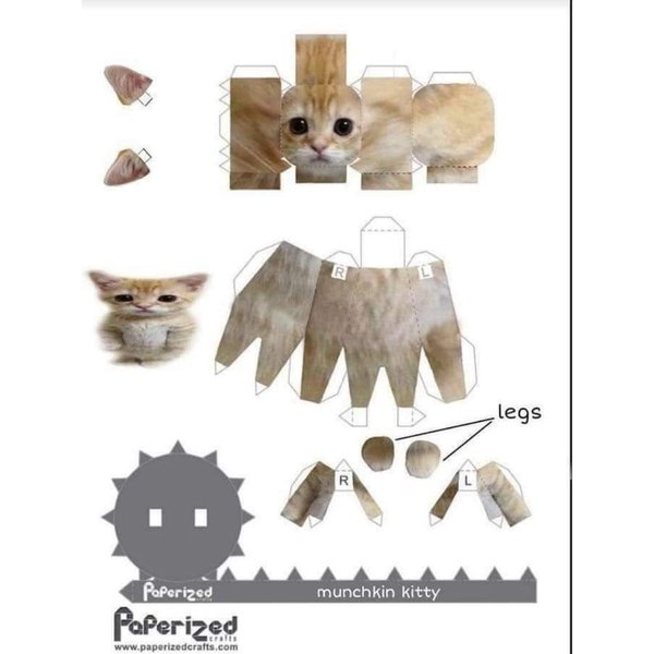 Thumbnail of cbqm-qarkci-56b26a2eb99f430f 1