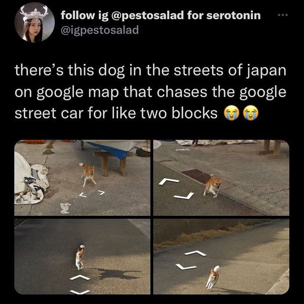 Thumbnail of cbqm-qarkci-56b26a2eb99f430f 4