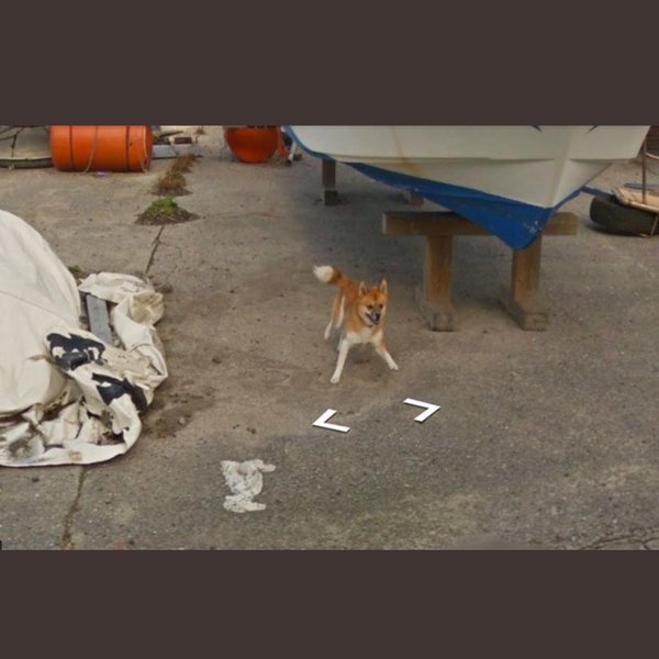 Thumbnail of cbqm-qarkci-56b26a2eb99f430f 5