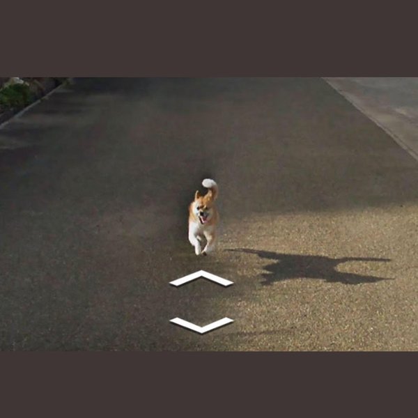 Thumbnail of cbqm-qarkci-56b26a2eb99f430f 7