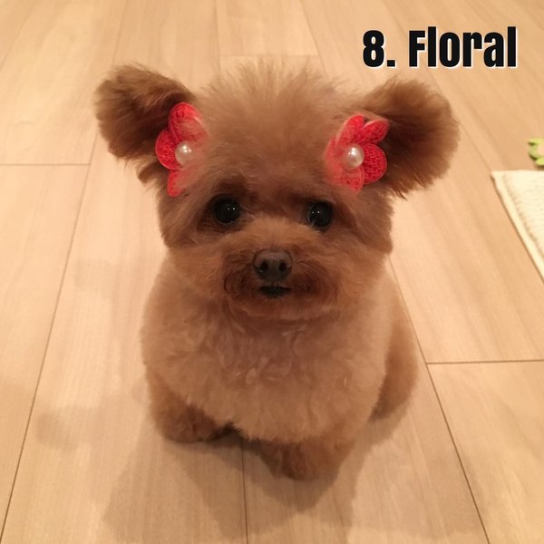 Thumbnail of cbutfy2nf-2-56c566f97ea34c23 7