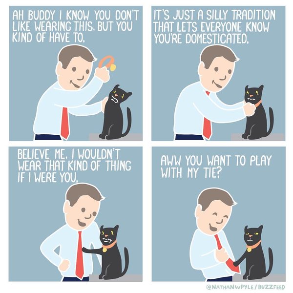 Thumbnail of p-bokxgzilc6s-56c6848de8c74b6d 3