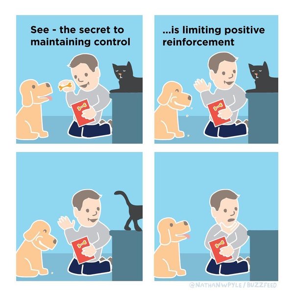 Thumbnail of p-bokxgzilc6s-56c6848de8c74b6d 5