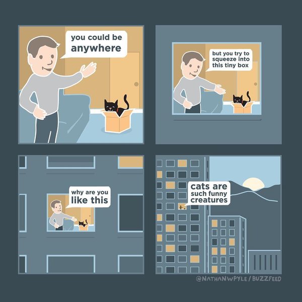 Thumbnail of p-bokxgzilc6s-56c6848de8c74b6d 7