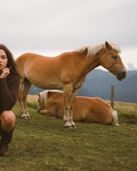 Thumbnail of df0n3-5zm73-5704c2fb7ab04f80 7