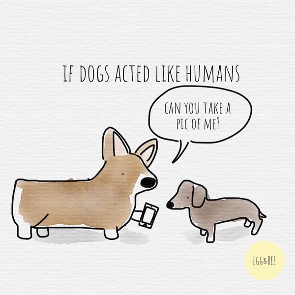 Thumbnail of p-bib9ib0lebd-570e2d96fe0d467a 0