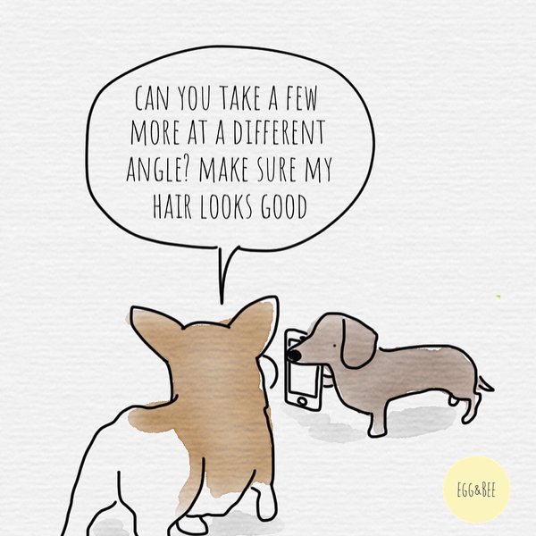 Thumbnail of p-bib9ib0lebd-570e2d96fe0d467a 2