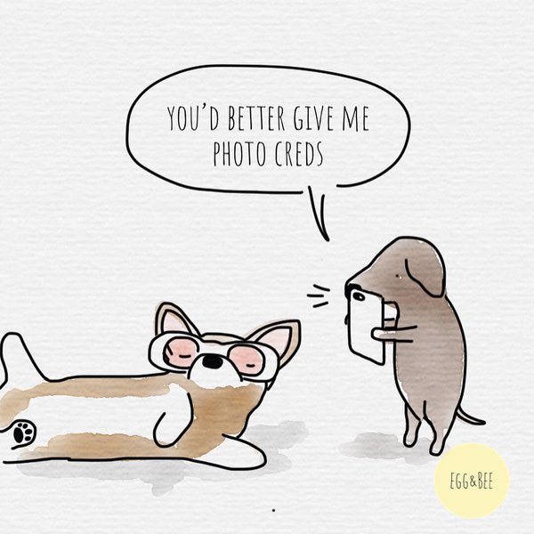 Thumbnail of p-bib9ib0lebd-570e2d96fe0d467a 3