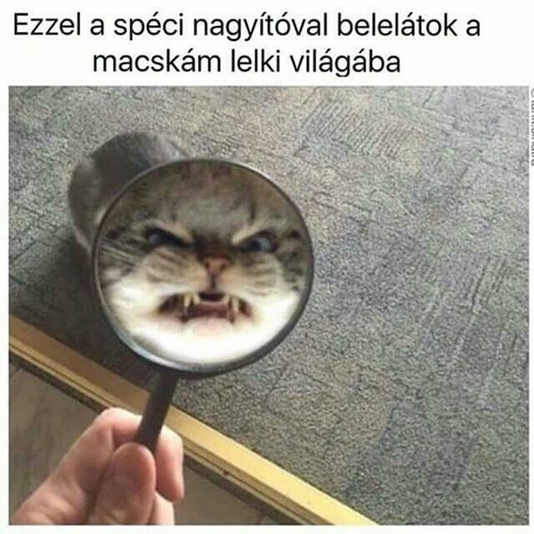 Thumbnail of p-bcr8avnbz1z-57515531976f4d34 0