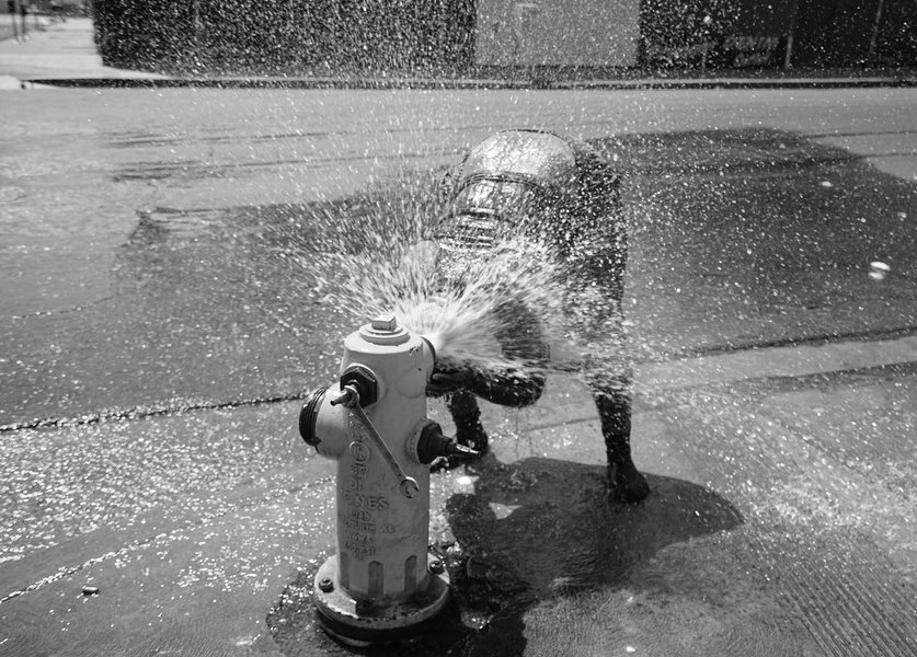 Thumbnail of p-cdcfevzhyrg-57529bb4c599445f 1