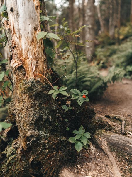 Thumbnail of p-dnwcizeyihc-57707526be4d46ed 11