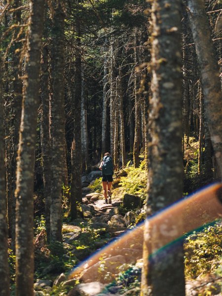 Thumbnail of p-dnwcizeyihc-57707526be4d46ed 7