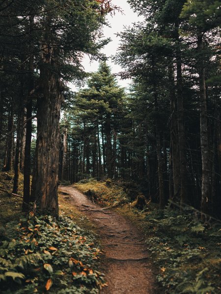 Thumbnail of p-dnwcizeyihc-57707526be4d46ed 8