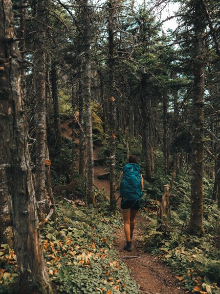 Thumbnail of p-dnwcizeyihc-57707526be4d46ed 9