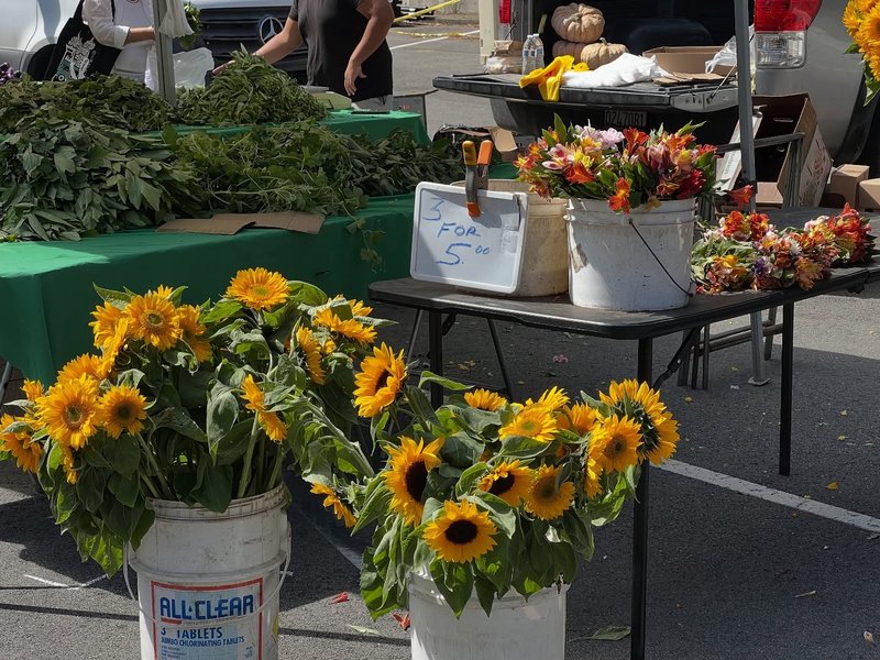 Thumbnail of p-dq3udhtez-57808992c8154805 1