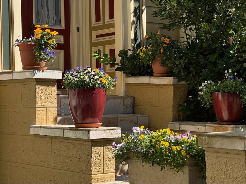 Thumbnail of p-dq3udhtez-57808992c8154805 10