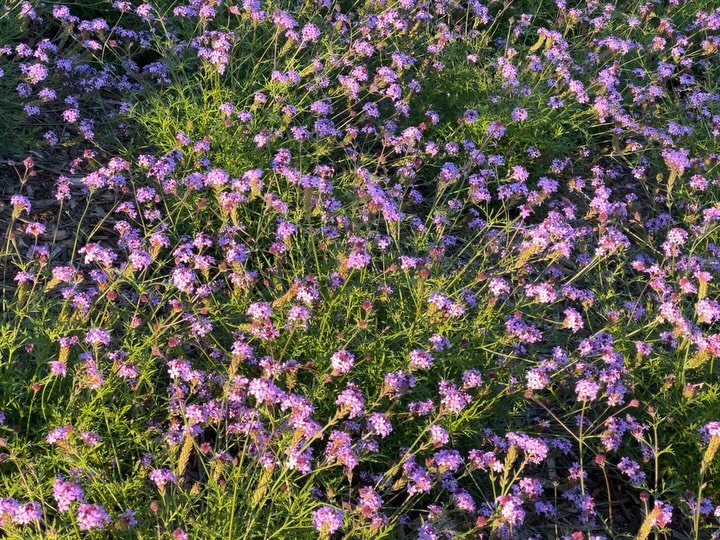 Thumbnail of p-dq3udhtez-57808992c8154805 11