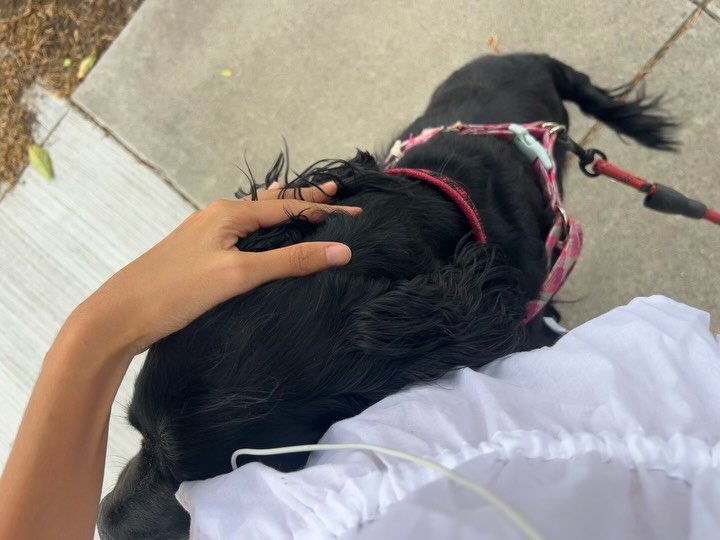 Thumbnail of p-dq3udhtez-57808992c8154805 3