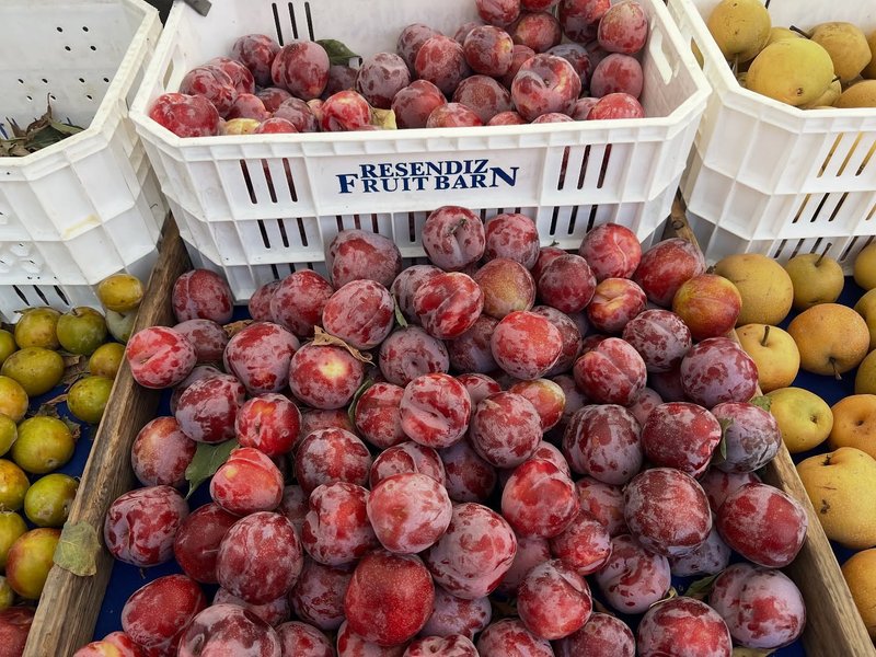 Thumbnail of p-dq3udhtez-57808992c8154805 6