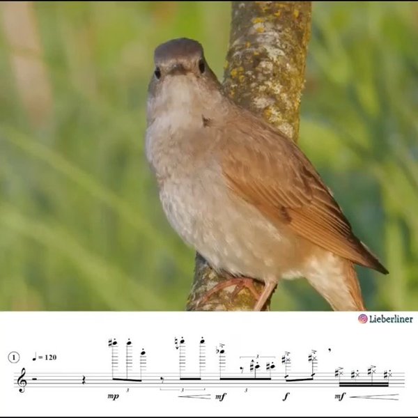 Thumbnail of p-cjmpofxh5b8-57bd51538dde4e9e 0