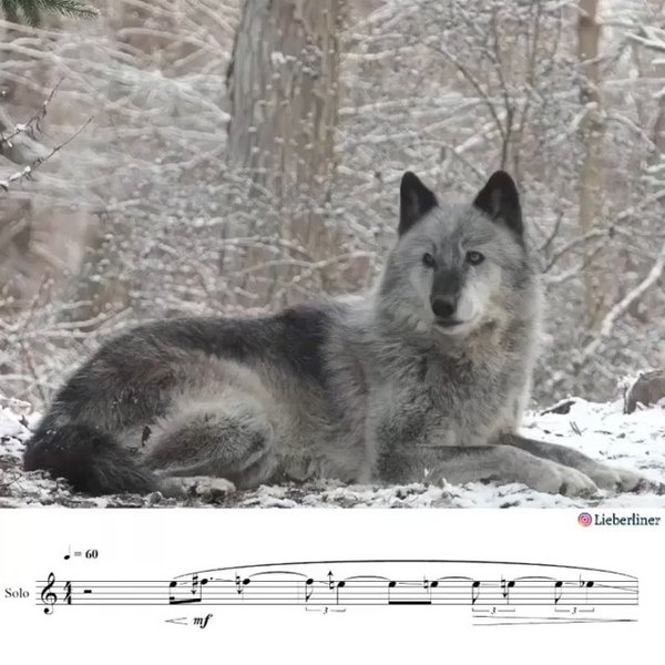 Thumbnail of p-cjmpofxh5b8-57bd51538dde4e9e 1