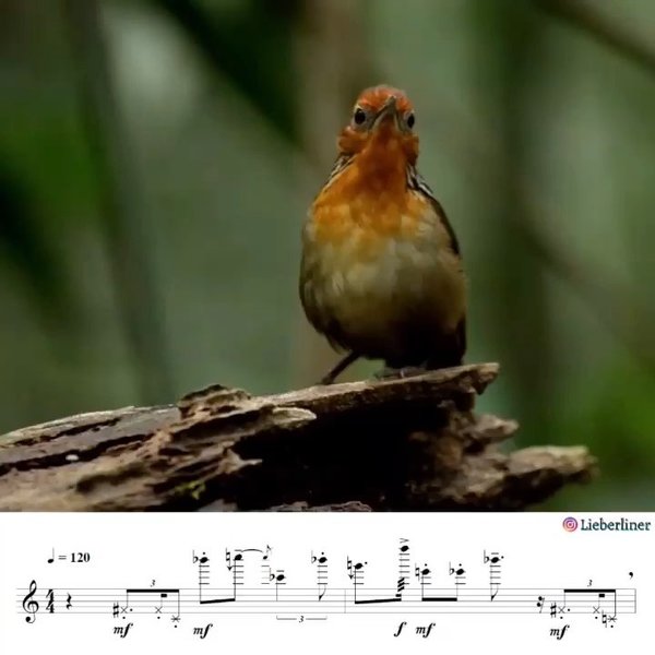 Thumbnail of p-cjmpofxh5b8-57bd51538dde4e9e 2