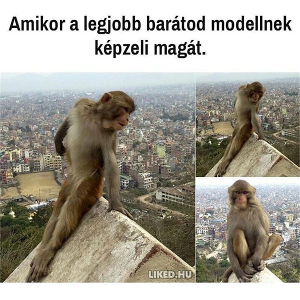 Thumbnail of p-bssjtiral6t-57c1cdd29cae4d34 1