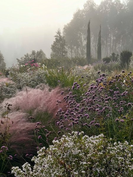 Thumbnail of instagram-57dea2d319084fdb 0