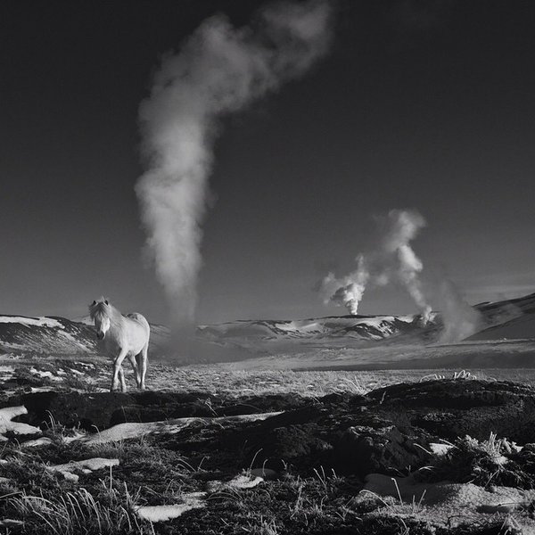 Thumbnail of p-sputxcm6ct-5803997abcdd4463 0