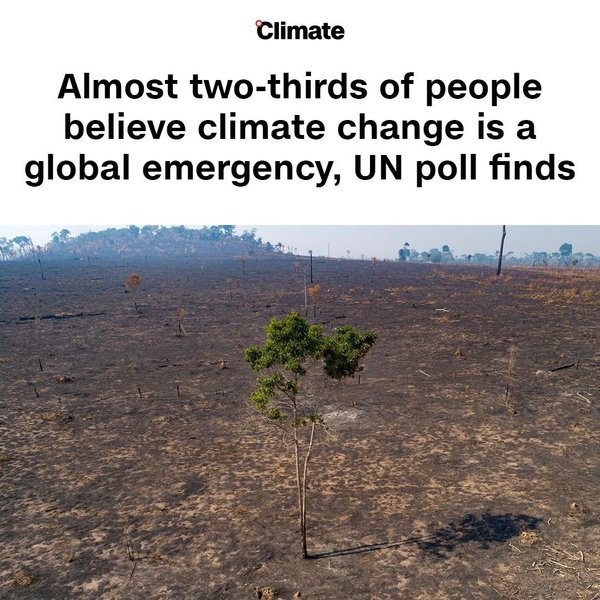 Thumbnail of p-ckruascf6a6-5807e7159a7e4d21 0