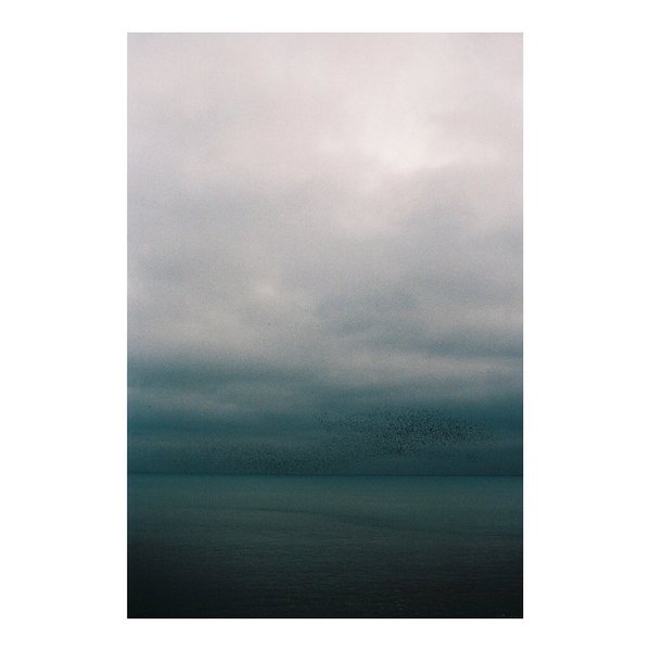 Thumbnail of p-b7gdd0fnxgg-582404a6583141ce 0