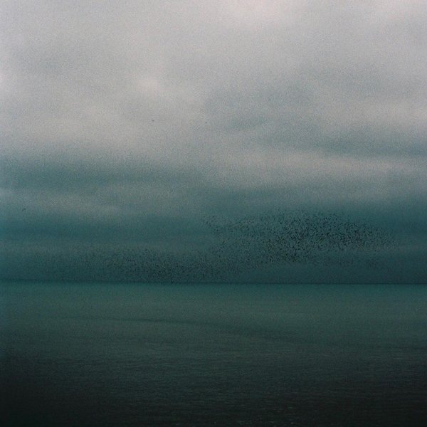 Thumbnail of p-b7gdd0fnxgg-582404a6583141ce 1