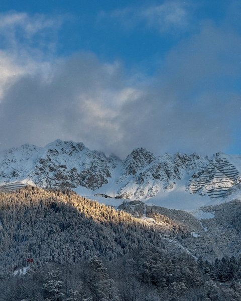 Thumbnail of p-dct7901irr-5824f985663841f2 0