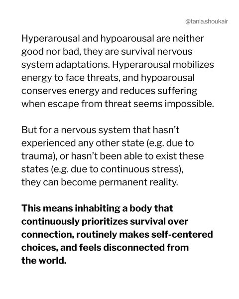 Thumbnail of t-nbimpy-582f54548b4b4210 5