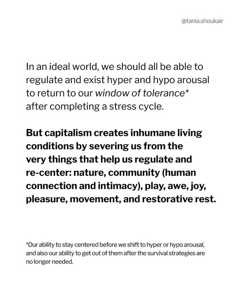 Thumbnail of t-nbimpy-582f54548b4b4210 6